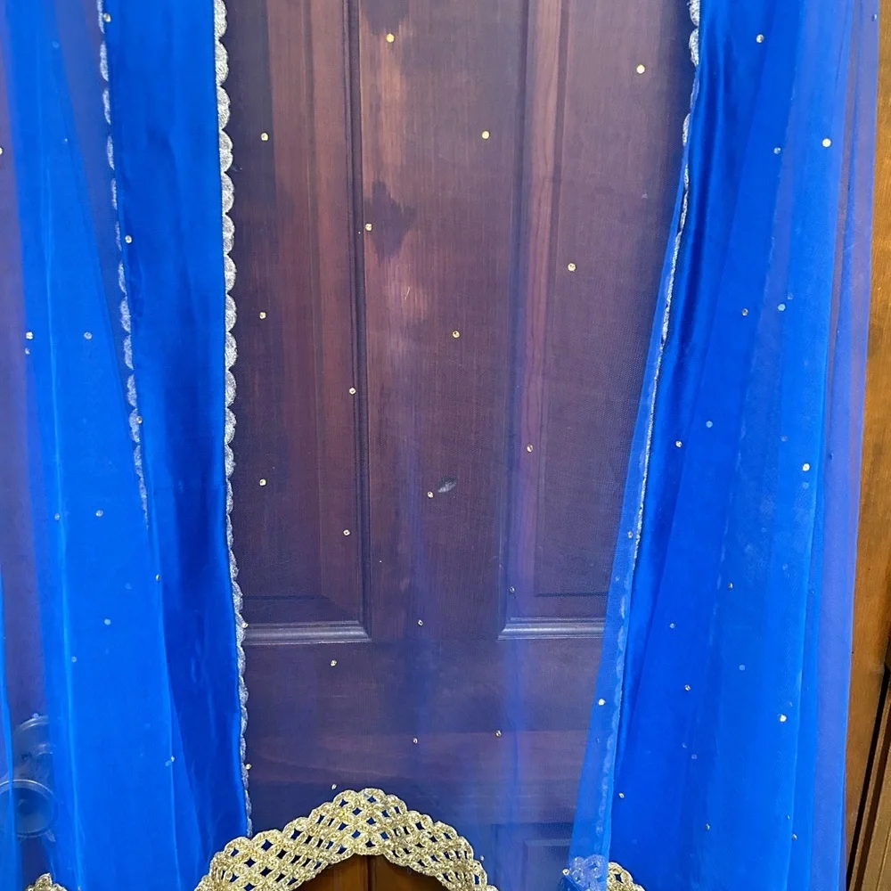 Royal Blue Net Dupatta with Gold Lace Border - Picture 7 of 10